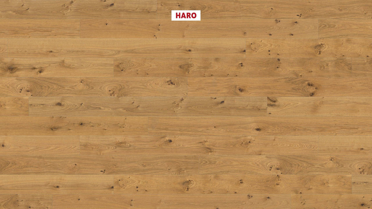 Haro Plank 180 4V Eg Sauvage retro børstet 530793