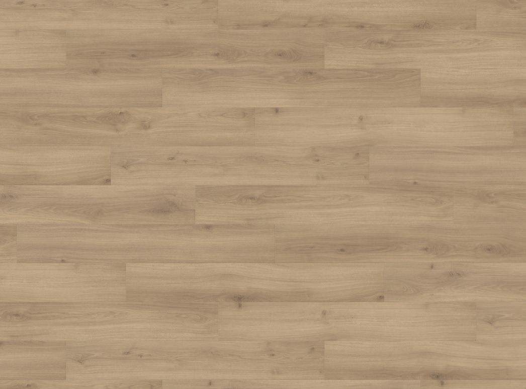 Haro Plank 4V Eg Emilia puro* authentic soft 538691