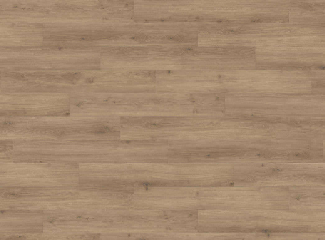 Haro Plank 4V Eg Emilia puro* authentic soft 540243