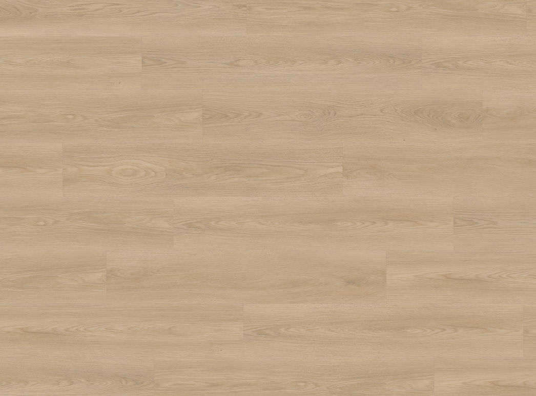 Haro Plank 4VM Eg Picardie puro* authentic 543398