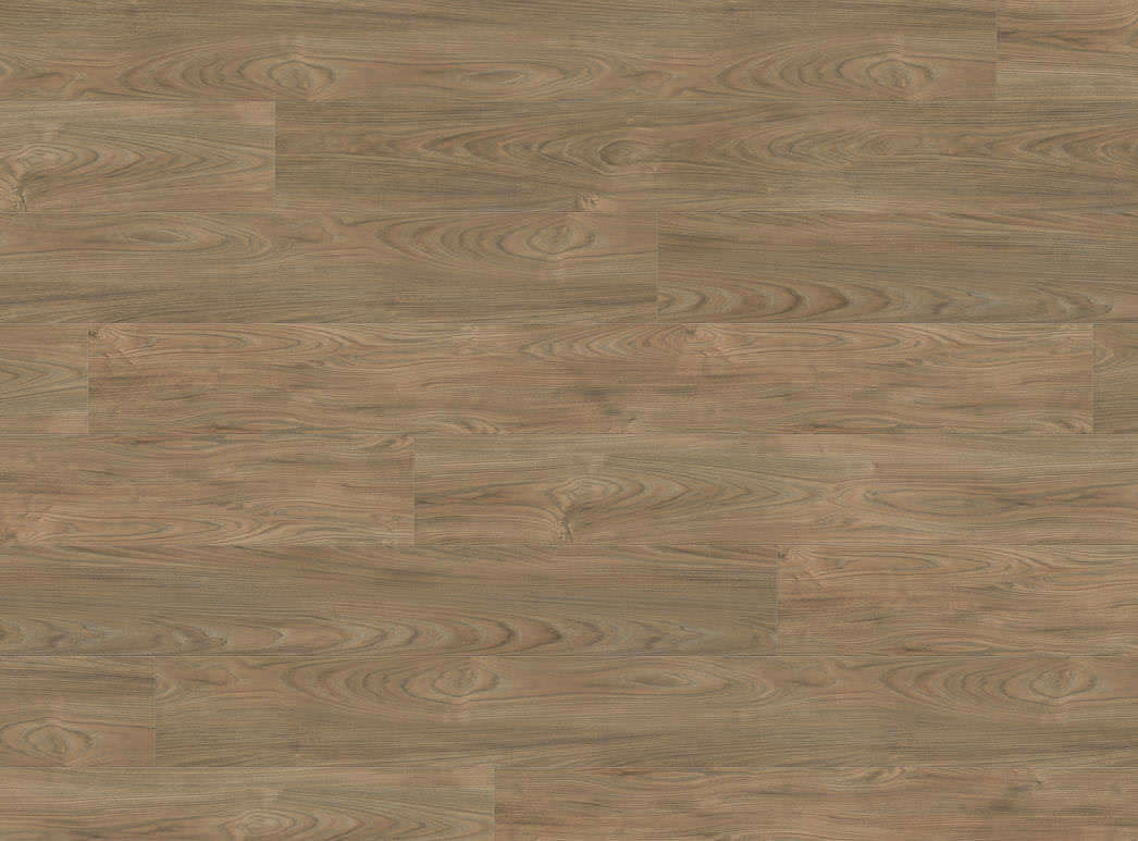 Haro Gran Via 4V Elm Vario* authentic soft 544814