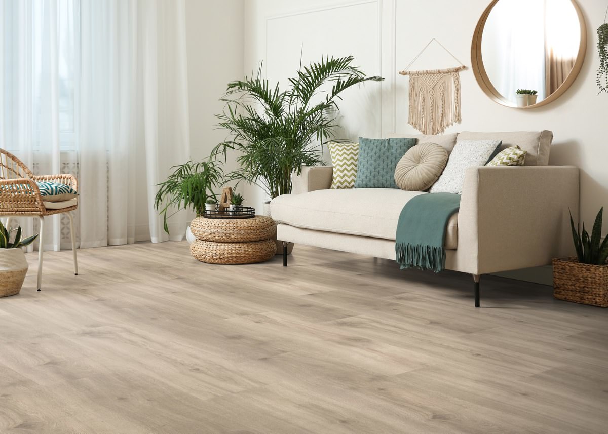 Haro Plank 4VM Eg Provence creme* authentic 544938