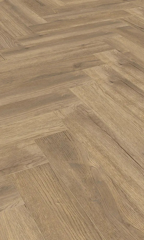 Eg sildeben 4764 Treviso