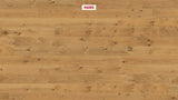 Haro Plank 180 4V Eg Sauvage retro børstet 530793