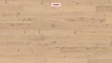 Haro Plank 180 4V Eg purohvid Sauvage retro børstet 535622