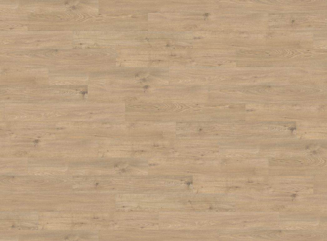 Haro Plank 4V Eg Sicilia puro* authentic matt 537370