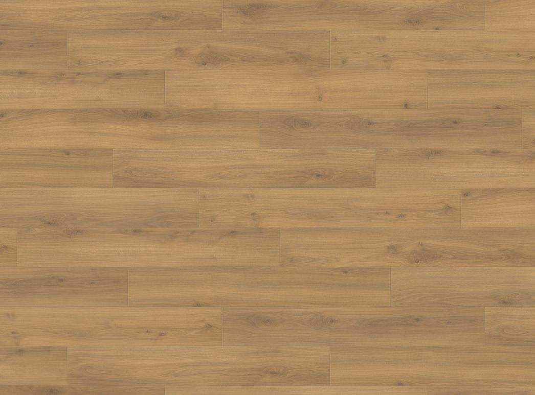Haro Plank 4V Eg Emilia Honning* authentic soft 538692