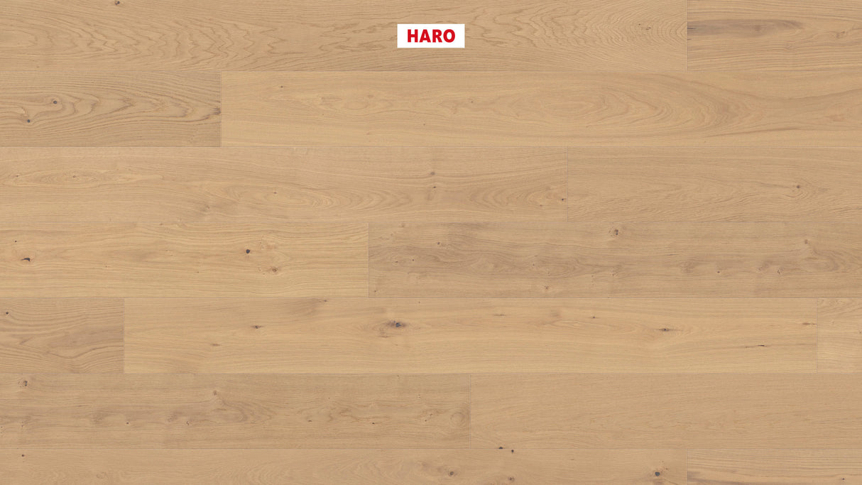 HaroPlank Plaza 240 4V Eg invisible Markant børstet 538964