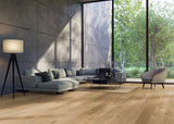 Haro Plank Plaza 240 4V Eg invisible Sauvage børstet 538965