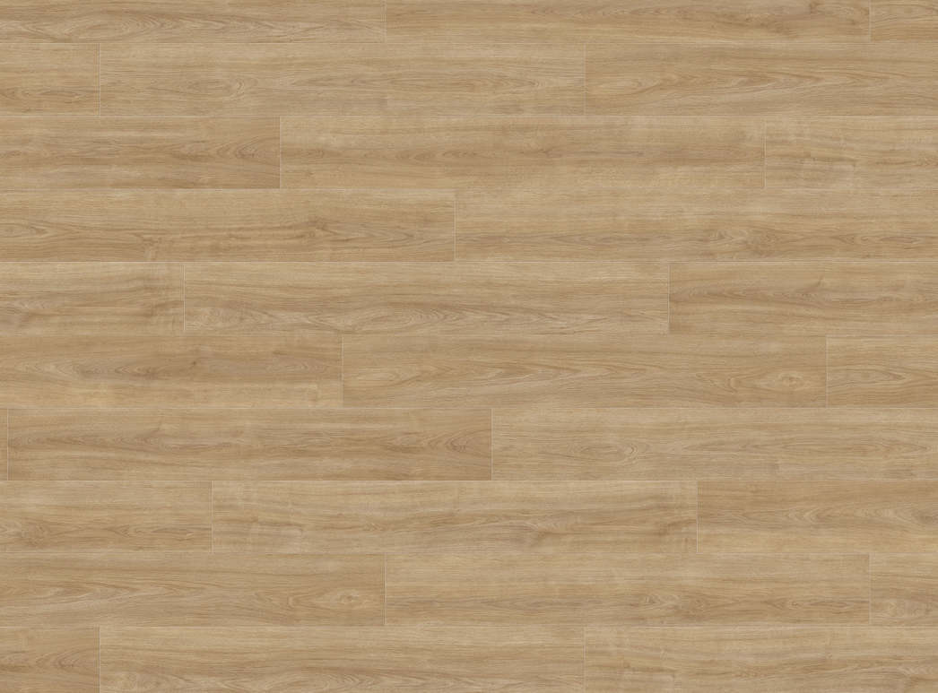 Haro Plank 4V Eg Eleganza puro* authentic 541474