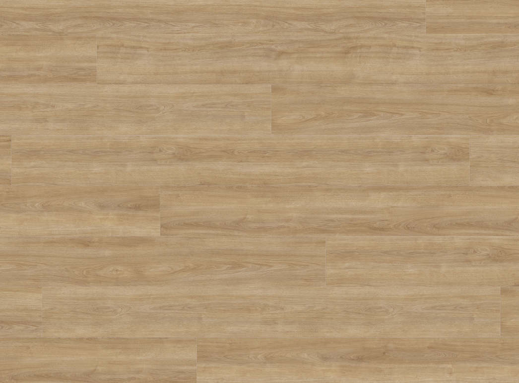 Haro Plank 4V Eg Eleganza puro* authentic 541558