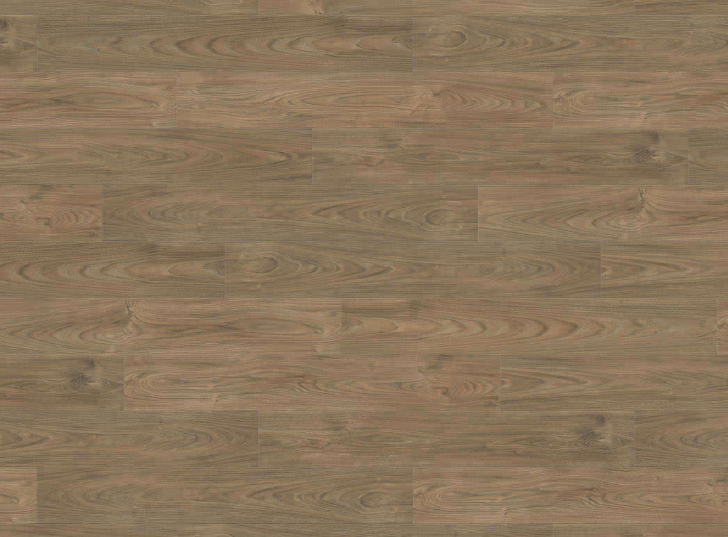 Haro Plank 4V Elm Vario* authentic soft 544720