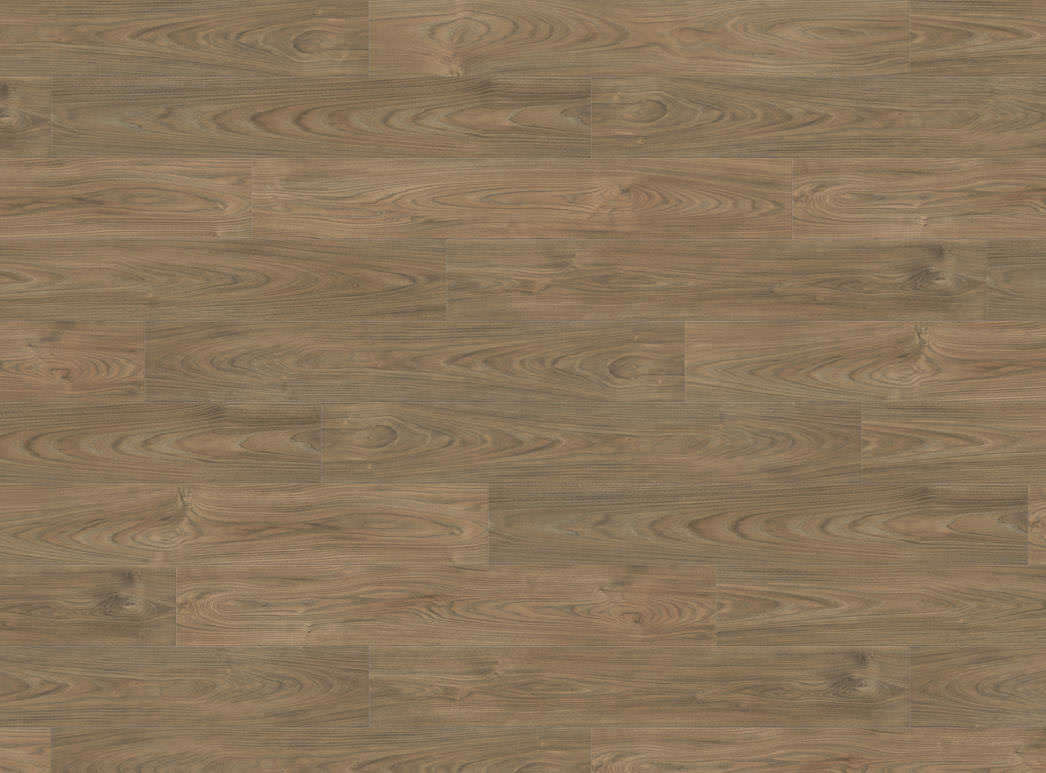 Haro Plank 4V Elm Vario* authentic soft 544784