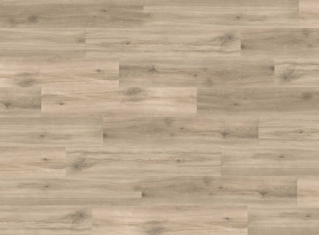 Haro Plank 4VM Eg Provence creme* authentic 544938