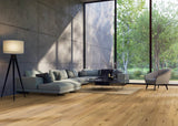 Haro Plank Plaza 240 4V Eg Alabama børstet 547812