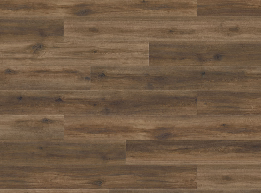 Haro Plank XL 4V Eg Provence chokoladebrun* authentic 549001