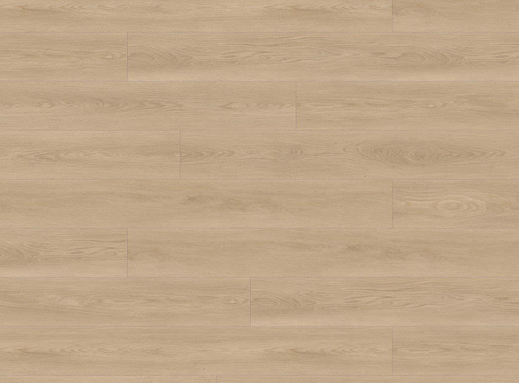 Haro Plank XL 4V Eg Picardie puro* authentic 549005