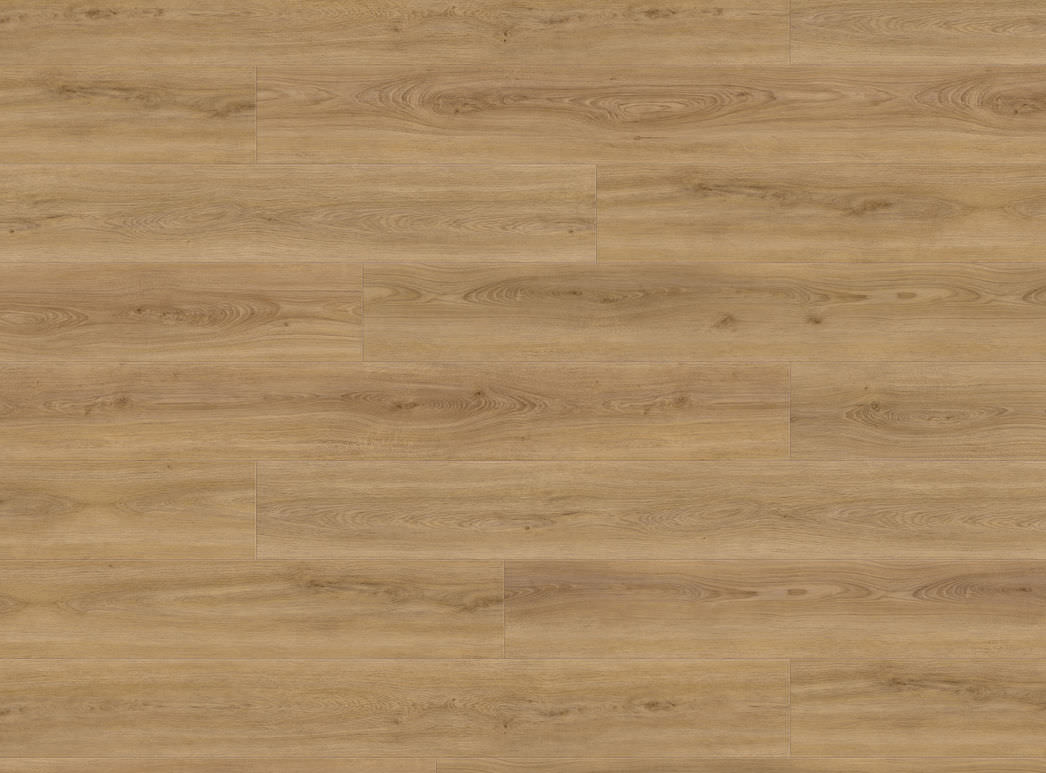Haro Plank XL 4V Eg Sheffield natur* authentic 549015