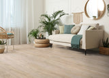 Haro Plank XL 4V Eg Jubilé* børstet 549021