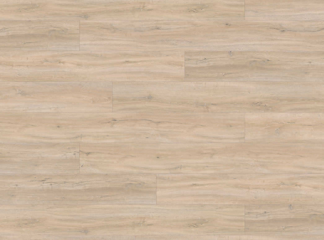 Haro Plank XL 4V Eg Jubilé* børstet 549021