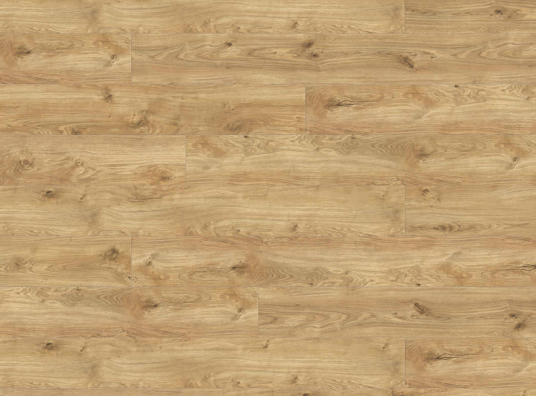 Haro Plank XL 4V Eg Phoenix* børstet 549023