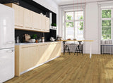 Haro Plank XL 4V Eg Peak honning* børstet 549029