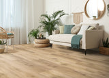 Haro Plank 4VM Eg Provence puro* authentic 549035