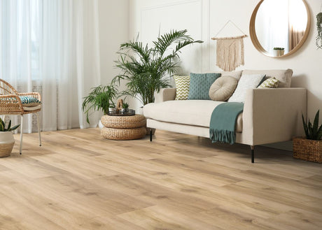 Haro Plank 4VM Eg Provence puro* authentic 549035
