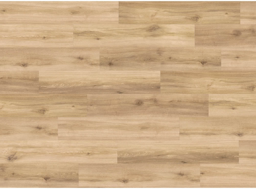 Haro Plank 4VM Eg Provence puro* authentic 549035