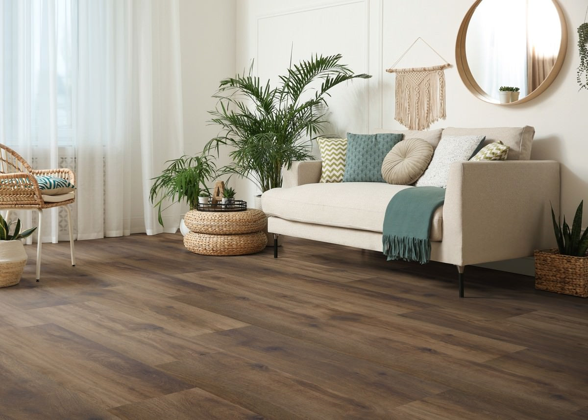 Haro Plank 4VM Eg Provence chokoladebrun* authentic 549037