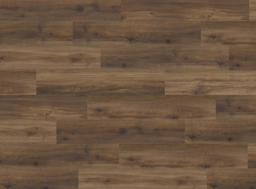 Haro Plank 4VM Eg Provence chokoladebrun* authentic 549037