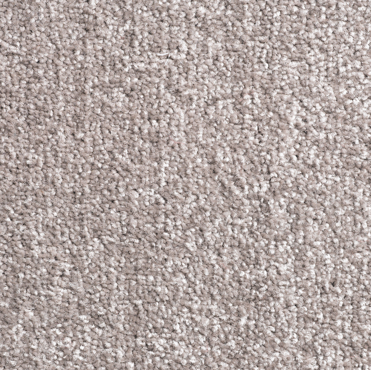 Migadan Kastrup gulvtæppe - vælg mellem beige, hvid, grå og antracit