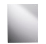 Vandal resistant mirror 600 x500 mm with visible fixing