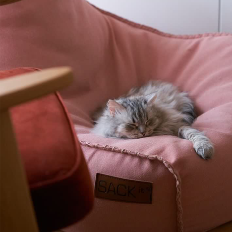 Cobana Lounge Chair Rose