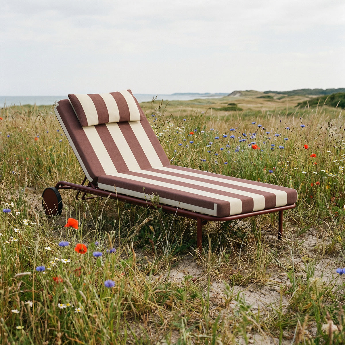 Mollis Sunbed - Renesse Chestnut