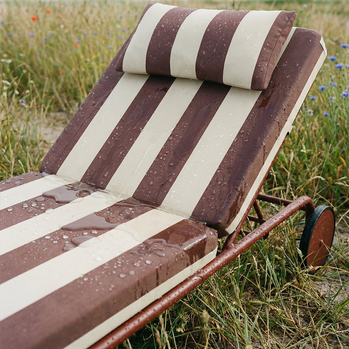 Mollis Sunbed - Renesse Chestnut